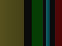 first_person_2d